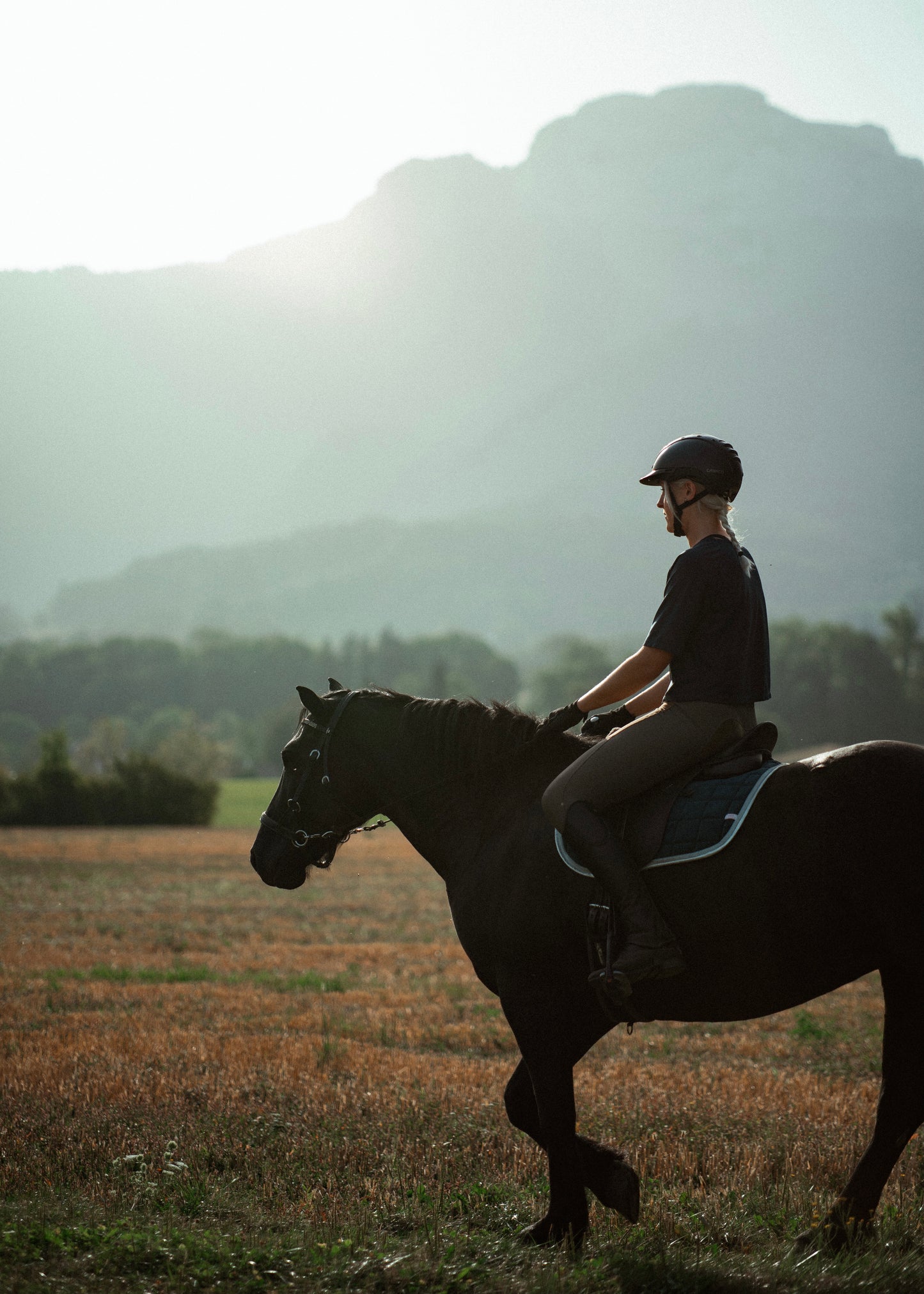 Legging équitation Emya