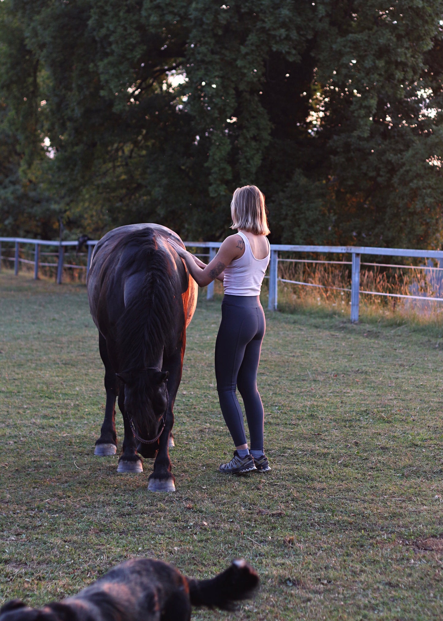 Legging Oryx