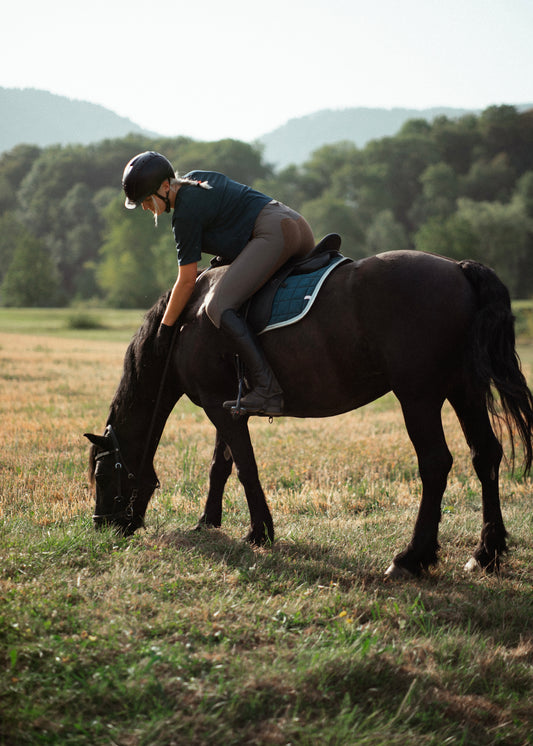Legging équitation Emya